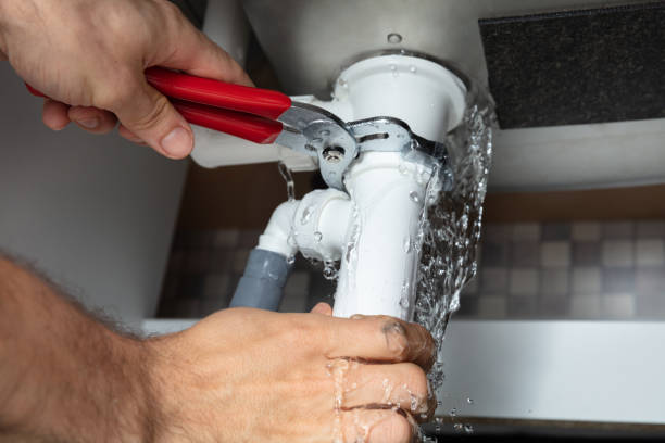 Best Professional water damage repair  in Valley Center, CA