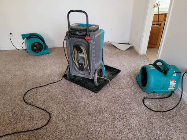 Carpet water damage restoration in Valley Center, CA