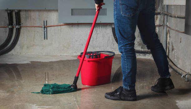 Best 24/7 water damage repair  in Valley Center, CA