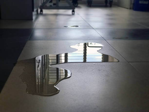 Best Flood restoration services  in Valley Center, CA