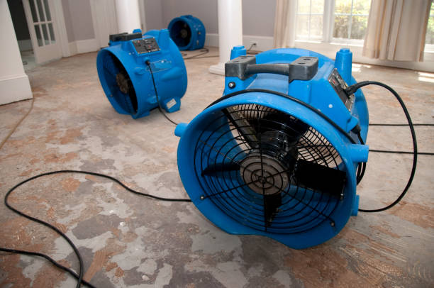 Best Water damage restoration insurance claims  in Valley Center, CA
