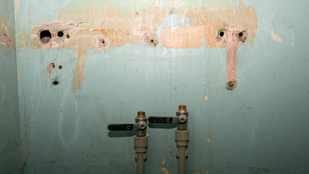 Water damage restoration insurance claims in Valley Center, CA