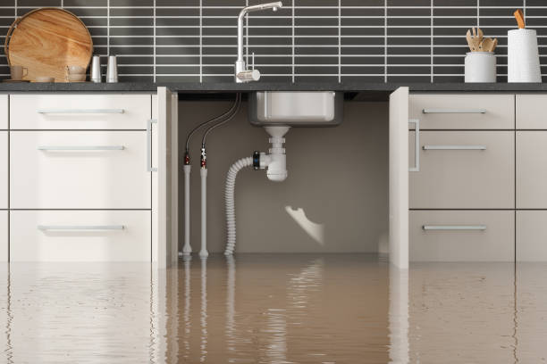 Best Water damage contractors near me  in Valley Center, CA