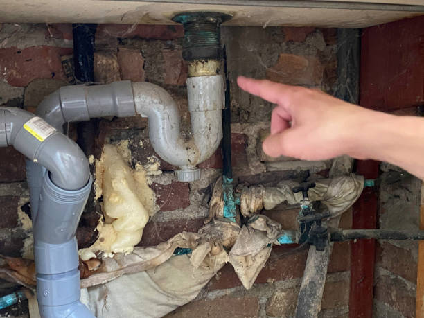 Best Ceiling water damage repair  in Valley Center, CA